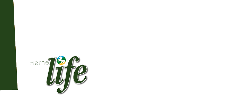 herne.life - Logo